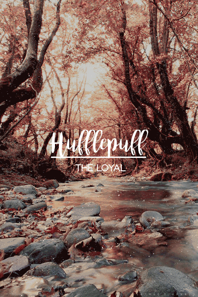 1439566cc4fd7aa29dfba3fcdd56204b